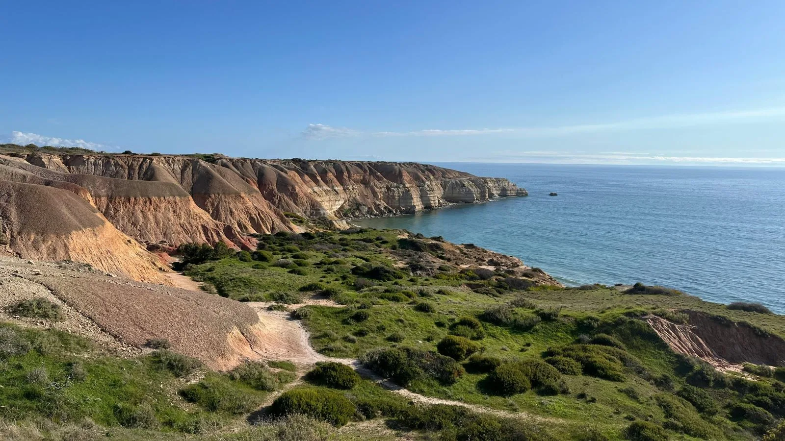 Australian Rare Earth receives green light for uranium exploration project in South Australian Riverland region – ABC News